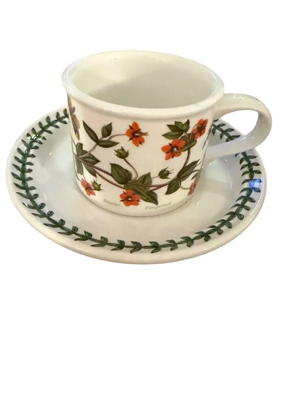 Portmeirion Botanic Garden Set of 2 Ceramic Drum Teacup and Saucer Multicolor